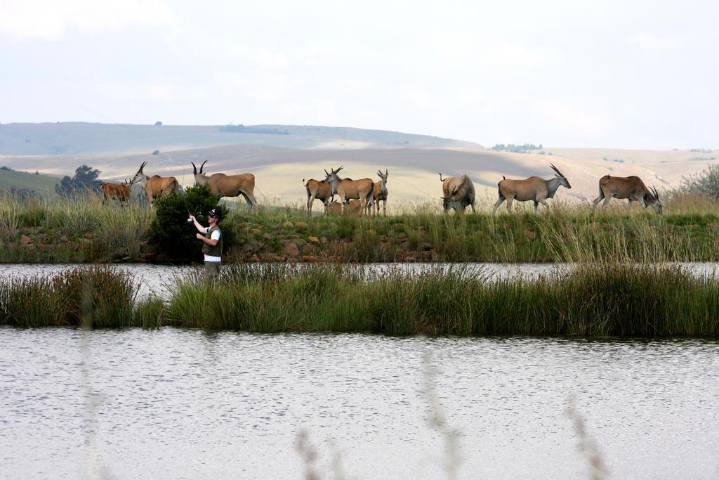 Gasthaus Elandskloof Trout Farm Dullstroom Exterior foto